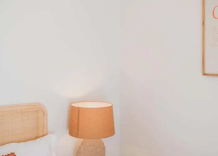 Meia Laranja - Nº 236 2ºd